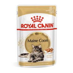 Royal Canin FBN MAINE COON 85g vrečka