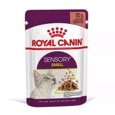 Royal Canin - Feline kapsul. Sensory Smell gravy 85g