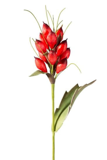 Eurofirany Cvet Natu 36 L 52 cm Dolžina cveta 12 cm Rdeča