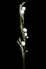 Eurofirany Flower Flore 447 L 115 cm premera Cvet 4 cm rdeča