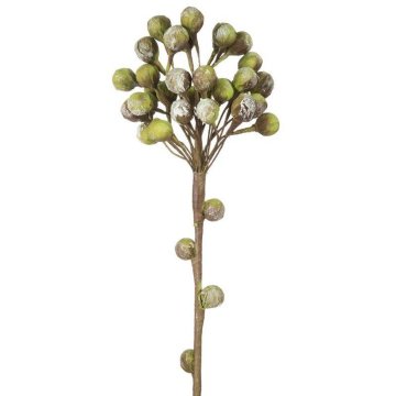 Eurofirany Flower Flore 523 L 64 cm Dolžina cveta 12 cm Zelena