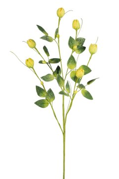 Eurofirany Cvet Natu 38 Dolžina 84 cm Dolžina s cvetovi 39 cm/4 cm Rumena