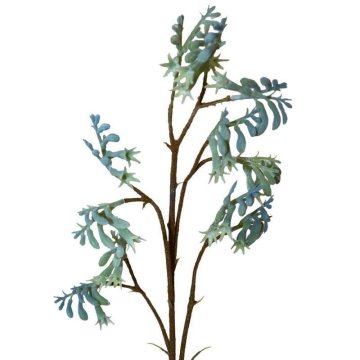 Eurofirany Cvet Natu 221 Dolžina 75 cm Dolžina s cvetovi 40 cm Dolžina Cvet 6 cm Zelena