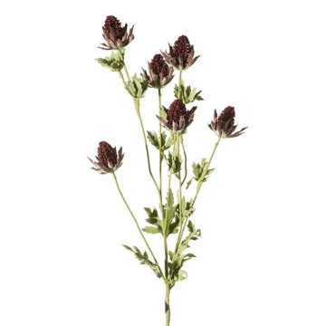 Eurofirany Cvet Natu 126 L 84Cm Dolžina cveta 5Cm Bordo barva
