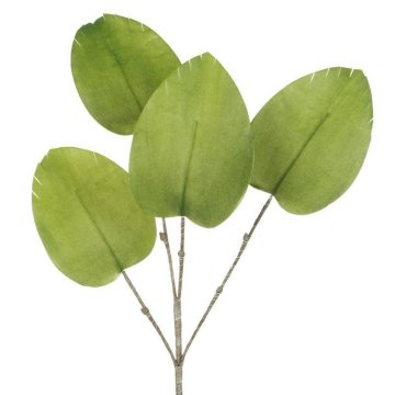 Eurofirany Cvetni list 27 Dolžina 100 cm Dolžina lista 20 cm Zelena