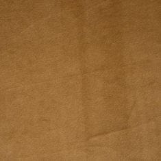 Eurofirany Žametna zavesa 140 cm x 250 cm