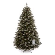 Božično drevo Kanadska snežna smreka 220 cm