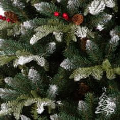 Božično drevo Gorska jelka 250 cm