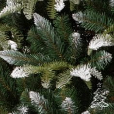 Božično drevo Gorska jelka 250 cm