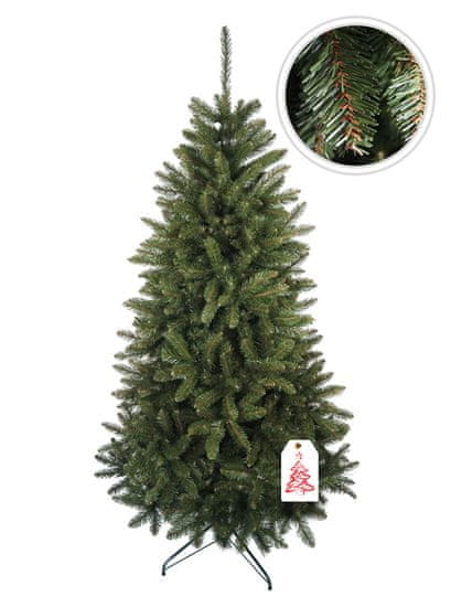 Božično drevo Kavkaska smreka 2D 180 cm