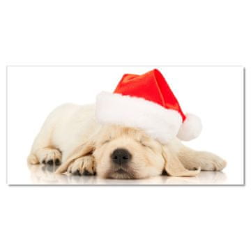 tulup.si Steklena slika Puppy Cap Santa Claus Zima
