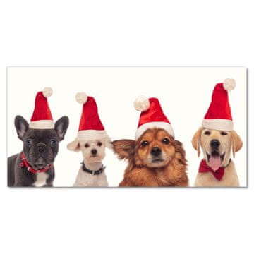 tulup.si Slika na akrilnem steklu Santa Claus Psi.