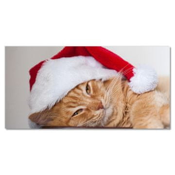 tulup.si Slika na akrilnem steklu Cat Cap Santa Claus