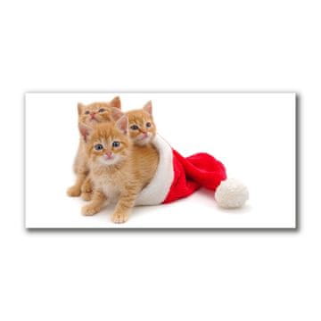 tulup.si Slika na platnu Božični mačke Santa Claus