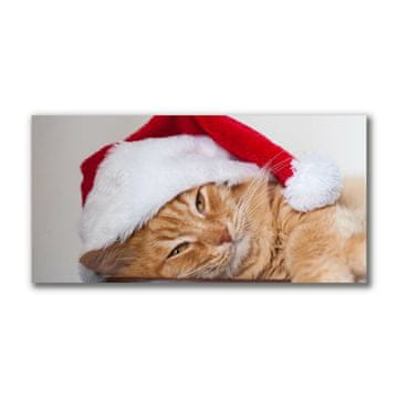 tulup.si Slika na platnu Cat Cap Santa Claus