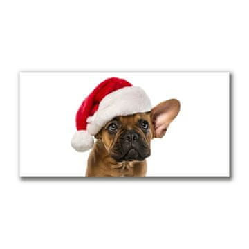 tulup.si Slika na platnu Bulldog Dog božič