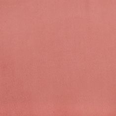 Vidaxl Okrasna blazina 2 kosa roza Ø15x50 cm žamet