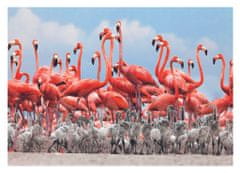 Dino Sestavljanka Flamingi 500 kosov
