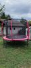 image.id