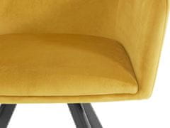 Danish Style Jedilni stol Belissimo (SET 2), žamet, zlata