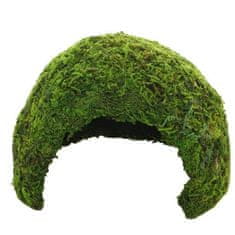 HOBBY Terraristik HOBBY Jungle Cave 1 skrivališče za terarijske živali 11 x 11 x 9 cm