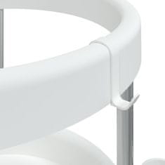 Vidaxl Voziček za čiščenje s košarico za shranjevanje aluminij