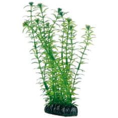 HOBBY aquaristic HOBBY Plantasy Set 4- Set umetnih rastlin