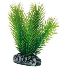 HOBBY aquaristic HOBBY Plantasy Set 4- Set umetnih rastlin