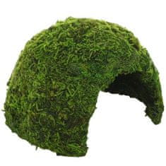 HOBBY Terraristik HOBBY Jungle Cave 2 skrivališče za terarijske živali 17 x 17 x 12 cm