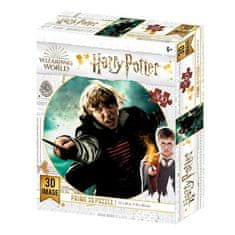 Harry Potter 3D sestavljanka - Ron Weasley 300 kosov