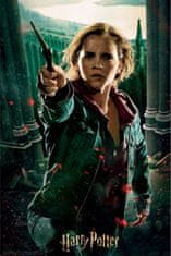 Harry Potter 3D sestavljanka - Hermiona 300 kosov