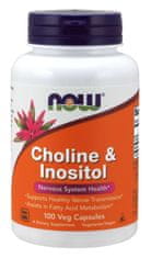 NOW Foods Cholin & amp; Inozitol, 500 mg, 100 kapsul