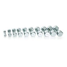 Gymstick Utež PRO Chrome Dumbbell, 10 kg