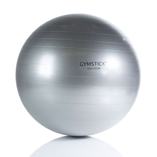 Gymstick Vadbena žoga, srebrna, 65 ali 75cm