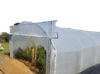 TopRastlinjaki Rastlinjak TUNEL - ROLO - 400 x 750 cm - 30m2 + 2 x rolo vrata