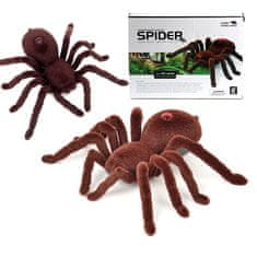 Ikonka Aga Daljinsko vodeni pajek TARANTULA rjav