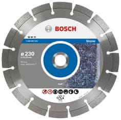 Bosch Diamantni disk 125X22 Seg Stone