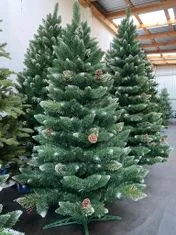 Alpina Božično drevo ZASNEŽENI BOR z izboklinami, višina 120 cm