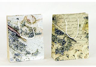 Autronic Papirnata darilna vrečka, srednje AUT094-ST