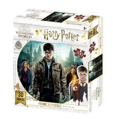 Harry Potter 3D sestavljanka - Harry, Hermiona in Ron 300 kosov