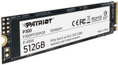 P300/512GB/SSD/M.2 NVMe/5R