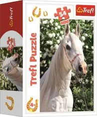 Trefl Puzzle Svet konj: Portret belega moža 54 kosov