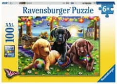 Ravensburger Pes Piknik Puzzle XXL 100 kosov