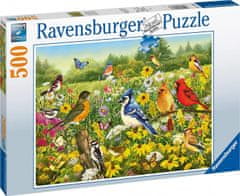 Ravensburger Ptičji travnik Puzzle 500 kosov