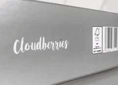 CLOUDBERRIES Sestavljanke Zgradbe 500 kosov