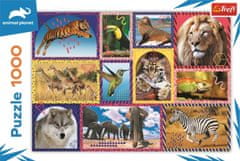 Trefl Puzzle Animal Planet: Divje živali/1000 kosov