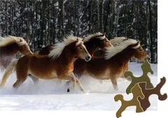 D-Toys Puzzle Horse Magic: Herd of Haflings 239 kosov