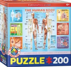 EuroGraphics Človeško telo Puzzle 200 kosov