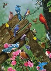 Cobble Hill Gozdne ptice Puzzle 1000 kosov