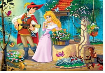 EuroGraphics Puzzle Pesem za princeso 100 kosov